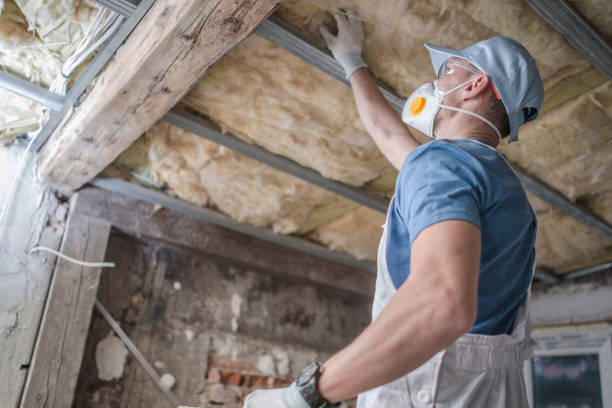Best Insulation Installation Services in Mount Zion, IL